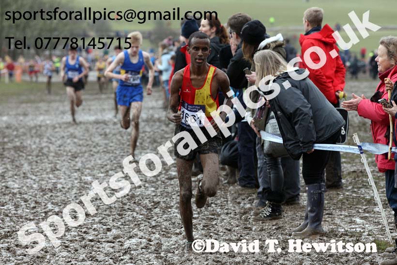 Boys under-15s 2018 British Inter Counties Cross Country Champs., Prestwold Hall, Loughborough. Photo: David T. Hewitson/Sports for All Pics